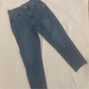 American Eagle | Flattering Mom Jeans | Size 2
